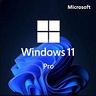 Операционная система Microsoft Win Pro 11 64-bit All Lng PK Lic Online DwnLd NR (FQC-10572)