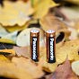Батарейка Panasonic LR06 Alkaline Power * 10 (LR6REB/10BW) (U0200122)