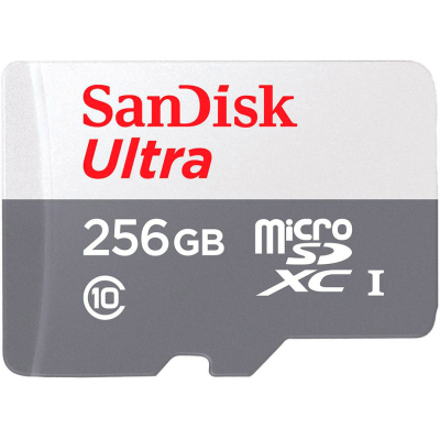 Карта пам'яті SanDisk 256GB microSDXC class 10 UHS-I Ultra (SDSQUNR-256G-GN3MN) (U0874222)