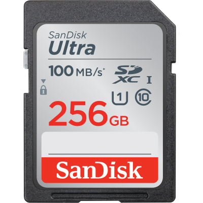 Карта памяти SanDisk 256GB SD class 10 UHS-I Ultra (SDSDUNR-256G-GN3IN) (U0862787)