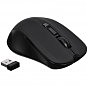 Мышка Acer OMR010 Wireless Black (ZL.MCEEE.028) (U0920671)