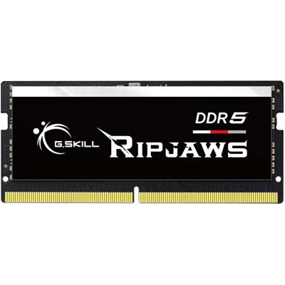 Модуль памяти для ноутбука SoDIMM DDR5 16GB 4800 MHz Ripjaws G.Skill (F5-4800S3838A16GX1-RS) (U0909481)