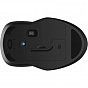 Мышка HP 250 Dual Wireless/Bluetooth Black (6V2J7AA) (U0899392)