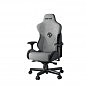 Крісло ігрове Anda Seat T-Pro 2 Size XL Grey/Black (AD12XLLA-01-GB-F) (U0864836)