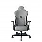 Кресло игровое Anda Seat T-Pro 2 Size XL Grey/Black (AD12XLLA-01-GB-F) (U0864836)