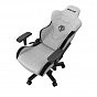 Кресло игровое Anda Seat T-Pro 2 Size XL Grey/Black (AD12XLLA-01-GB-F) (U0864836)