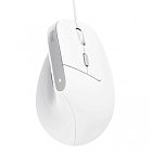 Мышка Trust Bayo II Ergonomic USB White (25397)