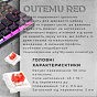 Клавиатура GamePro MK141R Red Swich Low Profile RGB USB Dark Gray (MK141R) (U0968322)