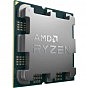 Процессор AMD Ryzen 7 7800X3D (100-100000910WOF) (U0799676)