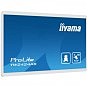Монитор iiyama TW2424AS-W1 (U0936287)