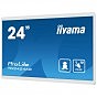 Монитор iiyama TW2424AS-W1 (U0936287)