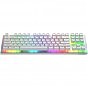 Клавіатура Hator Gravity X TKL Orange USB White (HTK551UA) (U0972734)