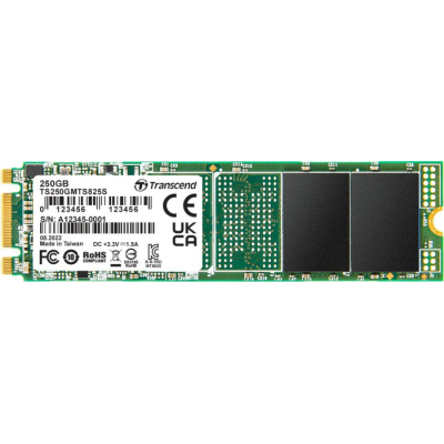 Накопичувач SSD M.2 2280 250GB Transcend (TS250GMTS825S) (U0752229)