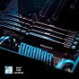 Модуль пам'яті для комп'ютера DDR5 64GB (2x32GB) 5200 MHz Beast Black Kingston Fury (ex.HyperX) (KF552C36BBEK2-64) (U0821870)