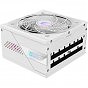 Блок питания GIGABYTE 850W (GP-AE850PM PG5 ICE) (U0982230)