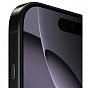 Мобильный телефон Apple iPhone 16 Pro Max 256GB Black Titanium (MYWV3) (U0961530)