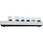 Клавиатура Logitech G PRO X TKL Lightspeed Tactile USB UA White (920-012148) (U0913996)