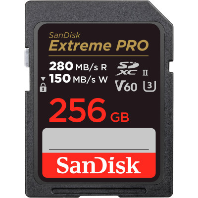 Карта памяти SanDisk 256GB SDXC class 10 UHS-I Extreme Pro (SDSDXEP-256G-GN4IN) (U0887962)
