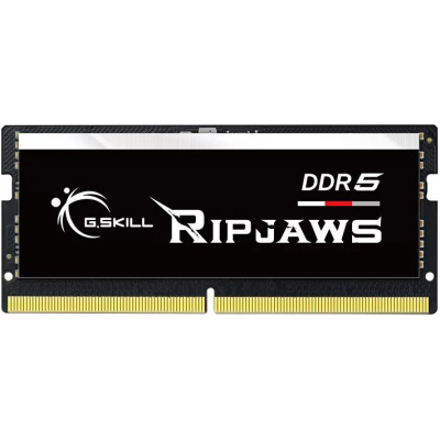 Модуль памяти для ноутбука SoDIMM DDR5 16GB 5200 MHz G.Skill (F5-5200S3838A16GX1-RS) (U0788082)