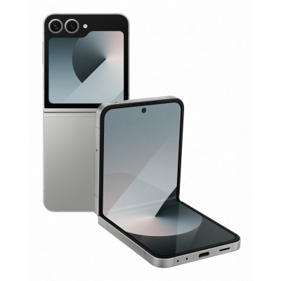 Мобильный телефон Samsung Galaxy Flip6 12/256Gb Silver Shadow (SM-F741BZSGSEK) (U0945941)