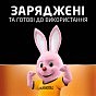 Акумулятор Duracell AA HR6 1300mAh * 2 (5000394039186 / 81367175) (U0166532)