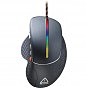 Мышка Canyon Apstar USB Black (CND-SGM12RGB) (U0458139)