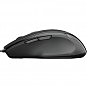 Мышка Trust Voca USB Black (23650) (U0518864)