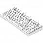 Клавиатура Dark Project ALU81 Terra Nova PBT RGB Mech G3MS Moonstone White (DPKB_NOVA_81_ANSI_WHITE_UA) (U1006181)