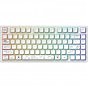 Клавиатура Dark Project ALU81 Terra Nova PBT RGB Mech G3MS Moonstone White (DPKB_NOVA_81_ANSI_WHITE_UA) (U1006181)