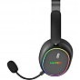 Наушники Hator Phoenix 2 Wireless Hi-Res SyncHUB connection Black (ESH40) (U1016838)